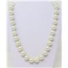 Image 1 : FAUX PEARL BEAD NECKLACE