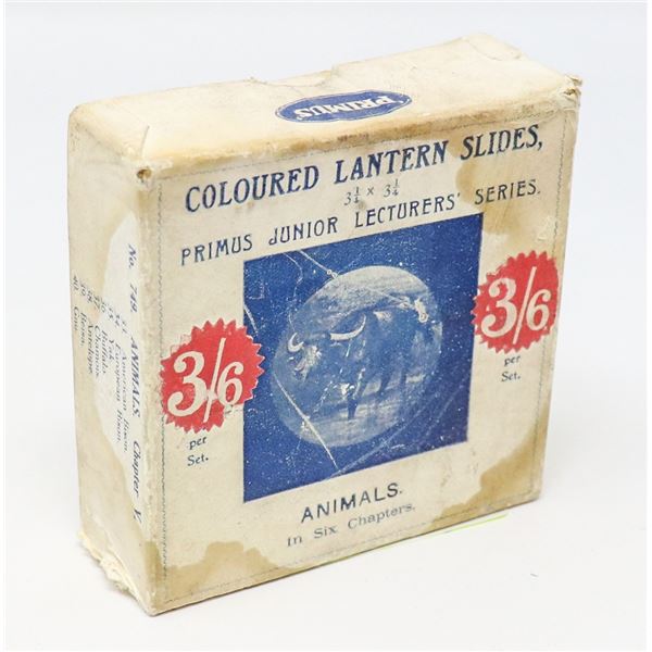 ANTIQUE LANTERN SLIDES OF ANIMALS
