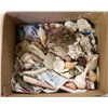 Image 1 : BOX FULL OF SEA SHELLS SAND DOLLARS ETC
