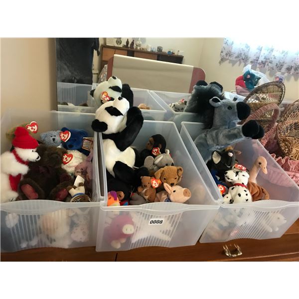 Large Collection of Beanie Babies with Plastic Drawers