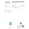 Image 6 : GIA Cert 19.72 ctw Emerald and Diamond Ring - 14KT Yellow Gold