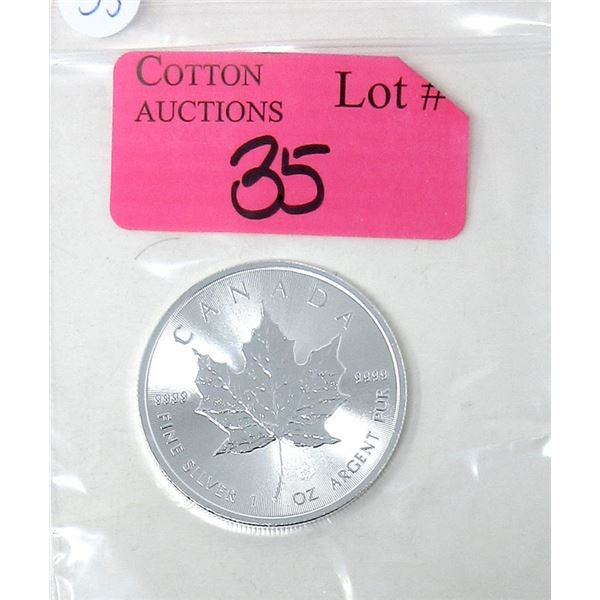 1 Oz .9999 Fine Silver 2019 Canada Maple Leaf Coin