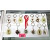 Image 1 : 11 Insect in Resin Key Chains & 1 Necklace
