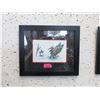 Image 1 : Richard Shorty Framed Print - Loon Mates