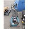 Image 1 : Lawn Mower & Ryobi Weed Trimmer