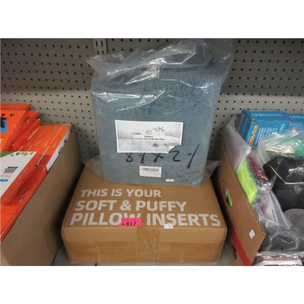 22" x 22" Pillow Insert & 4 x 6 Foot Area Rug
