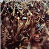 Image 1 : Signed Crosby Nash Live Album Cover