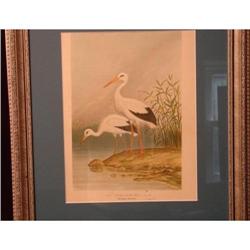 PAIR OF STORK PRINTS/LITHOGRAPHS #2122594