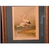 Image 1 : PAIR OF STORK PRINTS/LITHOGRAPHS #2122594