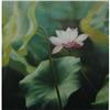 Image 1 : original oil on canvas, Lotus on water, #2122889