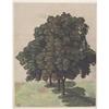 Image 1 : Durer    Study of Three Lime Trees #2143483