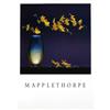 Image 1 : Mapplethorpe Robert Flowers in a Vase Offset#2143667