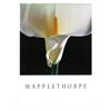 Image 1 : Mapplethorpe Robert Calla Lilly Offset#2143668