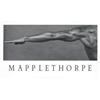 Image 1 : Mapplethorpe Robert Derrick Cross Offset#2143670