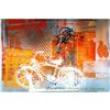 Image 1 : Rauschenberg   Bicycle, National Gallery #2143695