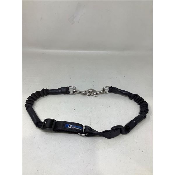 Canine Equipment Dog Collar