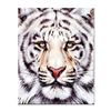 Image 1 : "Bengal" Limited Edition Giclee on Canvas by Martin Katon, Numbered and Hand Signed. This piece come