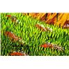 Image 2 : Eugene Poliarush- Original Oil on Canvas "Take Care of Nature"