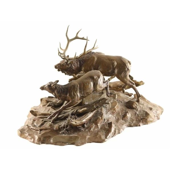 Original Fine Art Bronze