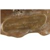 Image 3 : Original Fine Art Bronze