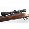 Image 3 : Remington 700 .300 Win Mag SN: C6445941