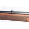 Image 4 : Winchester Model 88 'Pre-64' .243 SN: 53814