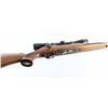 Image 9 : Weatherby Mark V .270 Wby Mag SN: P25134