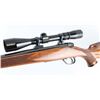 Image 5 : Weatherby Mark V Varmintmaster .22-250 Rem