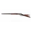 Image 2 : Winchester Model 1886 .45-90 SN: 87624