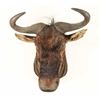 Image 1 : Blue Wildebeest Shoulder Mount