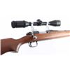 Image 5 : Remington 722 .257 Rbrts SN: 352000