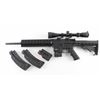 Image 2 : Smith & Wesson M&P 15-22 22LR SN: DTM6450