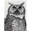 Image 3 : Signed and Numbered Owl Print by Claude Randall