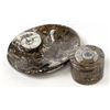 Image 1 : Orthoceras Fossil Tray & Lidded Trinket Box