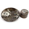 Image 2 : Orthoceras Fossil Tray & Lidded Trinket Box