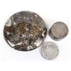 Image 8 : Orthoceras Fossil Tray & Lidded Trinket Box