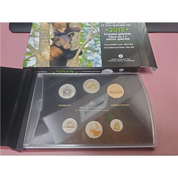 2013 Large Case Special Edition $2.00  Black Bear Specimen Set