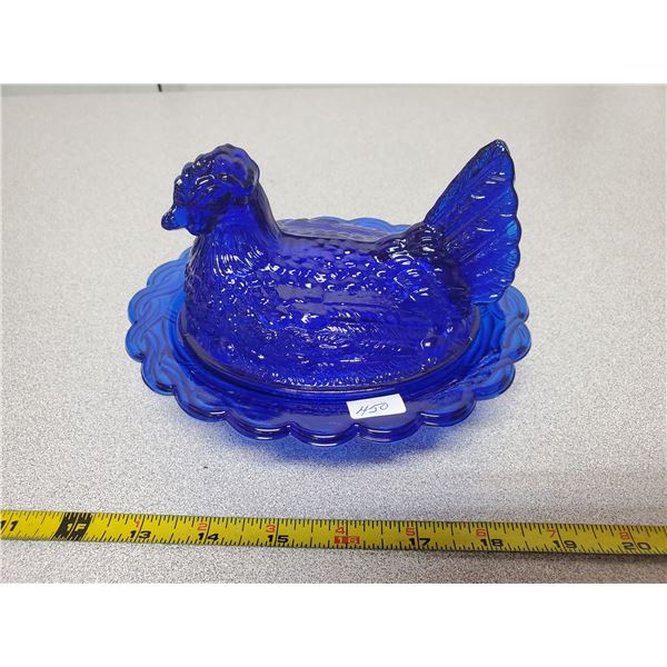 Cobalt blue hen on nest