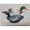 Image 1 : Canadian wildlife mallard duck (small chip on tail) and loon