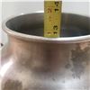 Image 5 : stainless steel milk pail