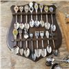 Image 2 : 2 spoon display racks with spoons