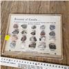 Image 1 : souvenir of Canada Rock Collection
