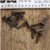 Image 1 : 11 number railway spikes 1933-1940 1944-1946