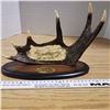 Image 1 : Carved Wolves inside Horn