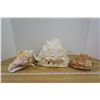 Image 1 : Lot of 4 Sea Shells