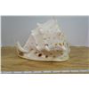 Image 3 : Lot of 4 Sea Shells