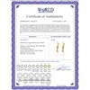Image 2 : Genuine 4 ctw Pearl Earrings 14KT Yellow Gold - REF-20A7K