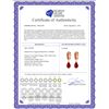 Image 2 : Genuine 7.8 ctw Ruby Earrings 14KT Yellow Gold - REF-45A8K