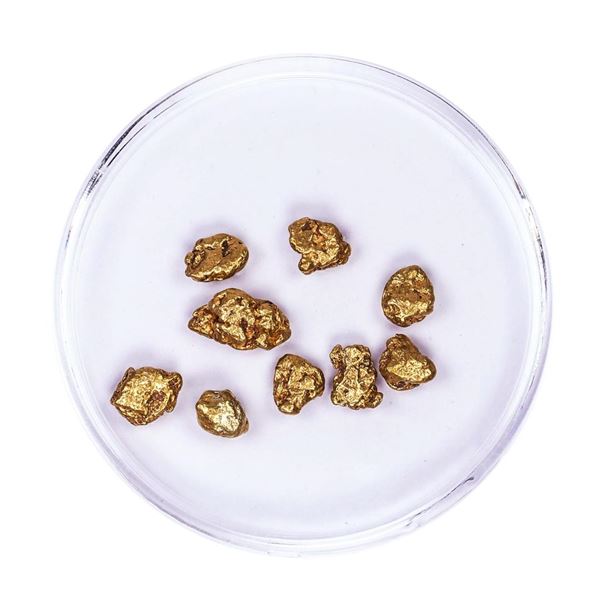 Lot of Gold Nuggets 4.21 grams Total Weight