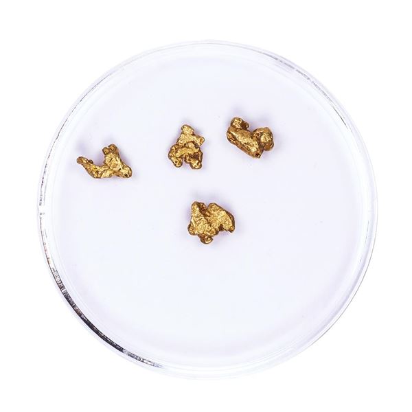 Lot of Gold Nuggets 1.45 grams Total Weight